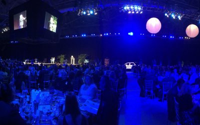 Follow Up: Law and Order Ball 2016